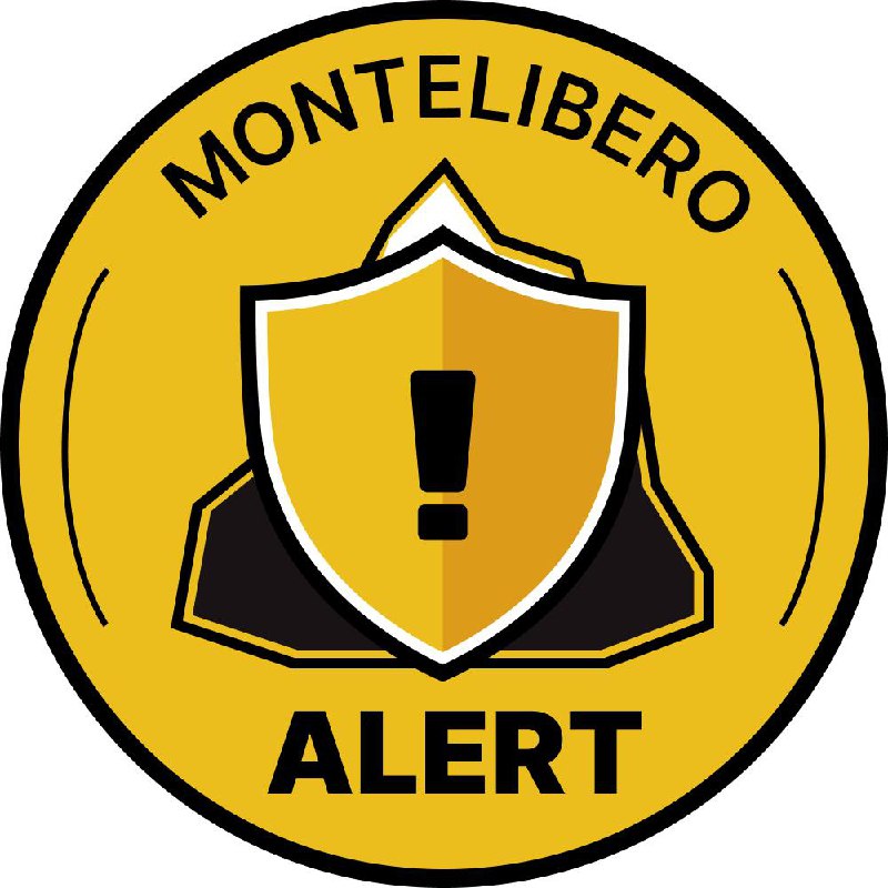 Фирменный стиль MTL Alert